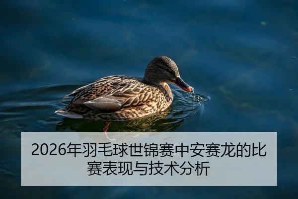 2026年羽毛球世锦赛中安赛龙的比赛表现与技术分析