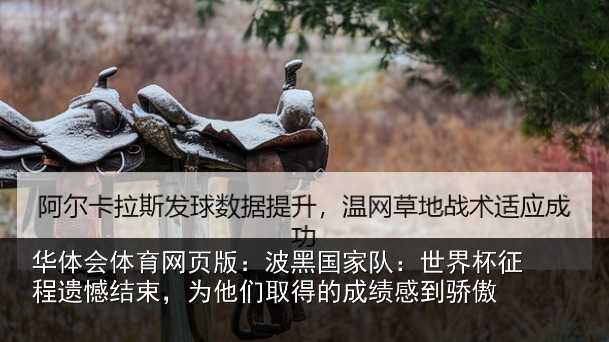 华体会体育网页版:波黑国家队:世界杯征程遗憾结束,为他们取得的成绩感到骄傲