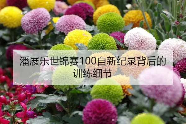 潘展乐世锦赛100自新纪录背后的训练细节